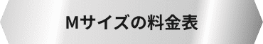 Mサイズの料金表